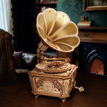 Load image into Gallery viewer, 3D Puzzle - Diva Gramophone Figured'Art