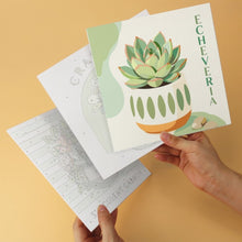 Load image into Gallery viewer, Mini Paint by Numbers Set 20x20cm (6 pieces) - Succulent Garden