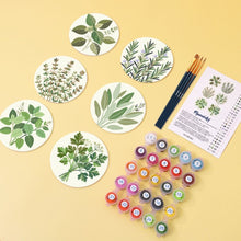 Load image into Gallery viewer, Paint by numbers 10cm Coasters (6 pieces) - Aromatic herbs