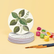 Load image into Gallery viewer, Paint by numbers 10cm Coasters (6 pieces) - Aromatic herbs