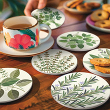 Load image into Gallery viewer, Paint by numbers 10cm Coasters (6 pieces) - Aromatic herbs