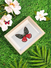 Load image into Gallery viewer, Gem Painting kit - Butterflies 2 series