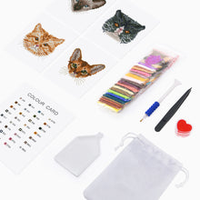Load image into Gallery viewer, Mini Diamond Painting 15x20cm (4 pieces) - Feline Friends