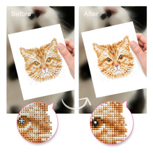 Load image into Gallery viewer, Mini Diamond Painting 15x20cm (4 pieces) - Feline Friends