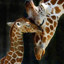 Load image into Gallery viewer, Diamond Painting | Diamond Painting - The Giraffe Family | animals Diamond Painting Animals giraffes | FiguredArt