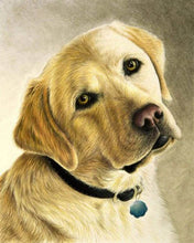 Load image into Gallery viewer, Diamond Painting - Portrait of a labrador
