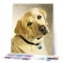 Load image into Gallery viewer, Diamond Painting - Portrait of a labrador