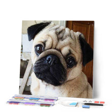 Load image into Gallery viewer, Diamond Painting | Diamond Painting - Cute Pug | animals Diamond Painting Animals | FiguredArt