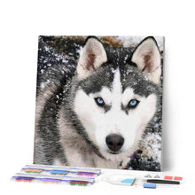 Load image into Gallery viewer, Diamond Painting | Diamond Painting - Wolf Face | animals Diamond Painting Animals rabbits wolves | FiguredArt