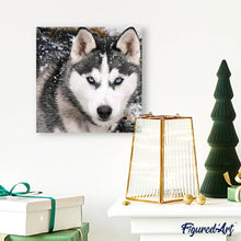 Load image into Gallery viewer, Diamond Painting | Diamond Painting - Wolf Face | animals Diamond Painting Animals rabbits wolves | FiguredArt