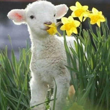 Load image into Gallery viewer, Diamond Painting | Diamond Painting - Sheep and Flowers | animals Diamond Painting Animals flowers | FiguredArt