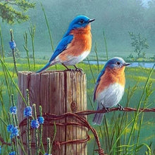Load image into Gallery viewer, Diamond Painting | Diamond Painting - Small Birds | animals birds Diamond Painting Animals | FiguredArt