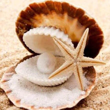 Load image into Gallery viewer, Diamond Painting | Diamond Painting - Starfish and Seashell | animals Diamond Painting Animals | FiguredArt