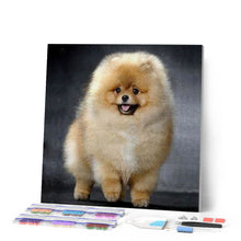 Load image into Gallery viewer, Diamond Painting | Diamond Painting - Chow Chow | animals Diamond Painting Animals | FiguredArt