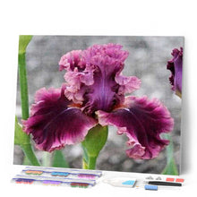 Load image into Gallery viewer, Diamond Painting | Diamond Painting - Iris Flower | Diamond Painting Flowers flowers | FiguredArt