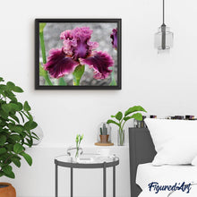 Load image into Gallery viewer, Diamond Painting | Diamond Painting - Iris Flower | Diamond Painting Flowers flowers | FiguredArt