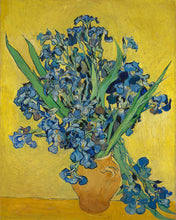 Load image into Gallery viewer, Diamond Painting - Vase with Irises - Van Gogh