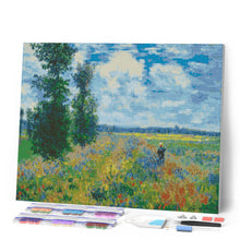 Load image into Gallery viewer, Diamond Painting - The Poppies - Monet