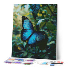Load image into Gallery viewer, Diamond Painting - Blue Morpho Butterfly canvas already framed