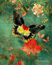 Load image into Gallery viewer, Diamond Painting - Troides Minos Butterfly canvas already framed