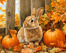Load image into Gallery viewer, Diamond Painting - Bunny and Pumpkins canvas already framed
