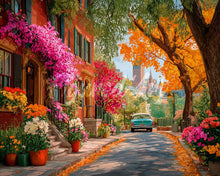 Load image into Gallery viewer, Diamond Painting - Urban Garden Lane