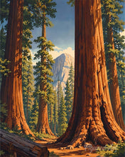 Load image into Gallery viewer, Diamond Painting - Yosemite National Park, Mariposa Grove - California