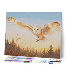 Load image into Gallery viewer, Diamond Painting - Barn Owl Sunset Flight