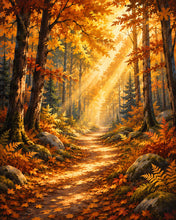 Load image into Gallery viewer, Diamond Painting - Forest Path with Sunbeams