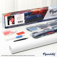 Load image into Gallery viewer, Diamond Painting - Poster Moulin Rouge - Paris Under the Stars