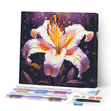 Load image into Gallery viewer, Mini Diamond Painting 25x25cm - Lily Bloom Figured'Art UK