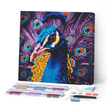 Load image into Gallery viewer, Mini Diamond Painting 25x25cm - Graceful Peacock Figured'Art UK
