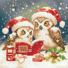Load image into Gallery viewer, Mini Diamond Painting 25x25cm - Santa Owls Reading