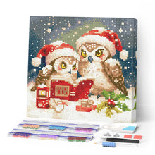 Load image into Gallery viewer, Mini Diamond Painting 25x25cm - Santa Owls Reading Figured'Art UK