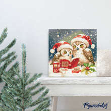 Load image into Gallery viewer, Mini Diamond Painting 25x25cm - Santa Owls Reading