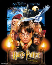 Load image into Gallery viewer, Diamond Painting - Harry Potter and the Sorcerer's Stone Poster 40x50cm canvas already framed