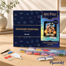 Load image into Gallery viewer, Diamond Painting - Harry Potter and the Sorcerer's Stone Poster 40x50cm canvas already framed