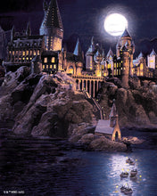 Load image into Gallery viewer, Diamond Painting - Hogwarts Castle at Night - Harry Potter 40x50cm canvas already framed