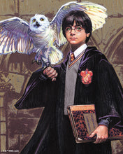 Load image into Gallery viewer, Diamond Painting - Harry Potter and Hedwig 40x50cm canvas already framed
