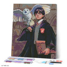 Load image into Gallery viewer, Diamond Painting - Harry Potter and Hedwig 40x50cm canvas already framed