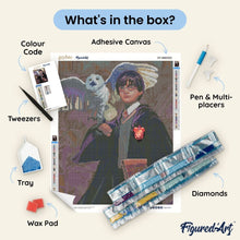 Load image into Gallery viewer, Diamond Painting - Harry Potter and Hedwig