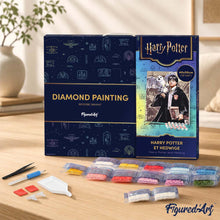 Load image into Gallery viewer, Diamond Painting - Harry Potter and Hedwig 40x50cm canvas already framed