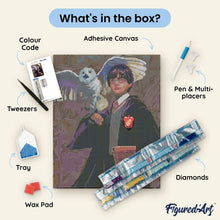 Load image into Gallery viewer, Diamond Painting - Harry Potter and Hedwig 40x50cm canvas already framed