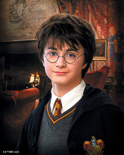 Load image into Gallery viewer, Diamond Painting - Harry Potter Portrait 40x50cm canvas already framed
