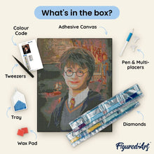 Load image into Gallery viewer, Diamond Painting - Harry Potter Portrait 40x50cm canvas already framed