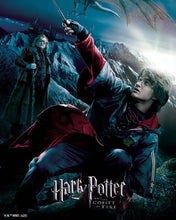Load image into Gallery viewer, Diamond Painting - Harry Potter and the Goblet of Fire Poster 40x50cm canvas already framed