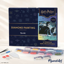 Load image into Gallery viewer, Diamond Painting - Harry Potter and the Half-Blood Prince Poster II 40x50cm canvas already framed