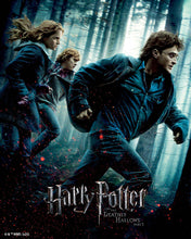 Load image into Gallery viewer, Diamond Painting - Harry Potter and the Deathly Hallows - Part 1 Poster 40x50cm canvas already framed