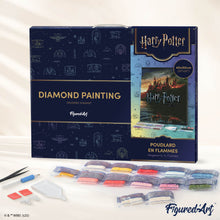 Load image into Gallery viewer, Diamond Painting - Hogwarts in Flames - Harry Potter 40x50cm canvas already framed