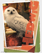 Load image into Gallery viewer, Diamond Painting - Hedwig Card - Harry Potter 40x50cm canvas already framed